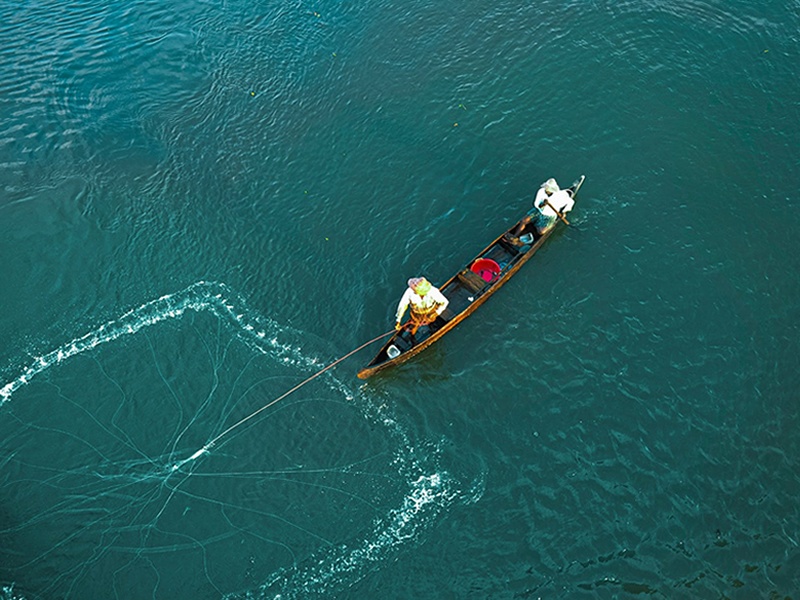 Hindis'tan Kochi'de geniş ağlarını denize atıp balık tutan balıkçılar