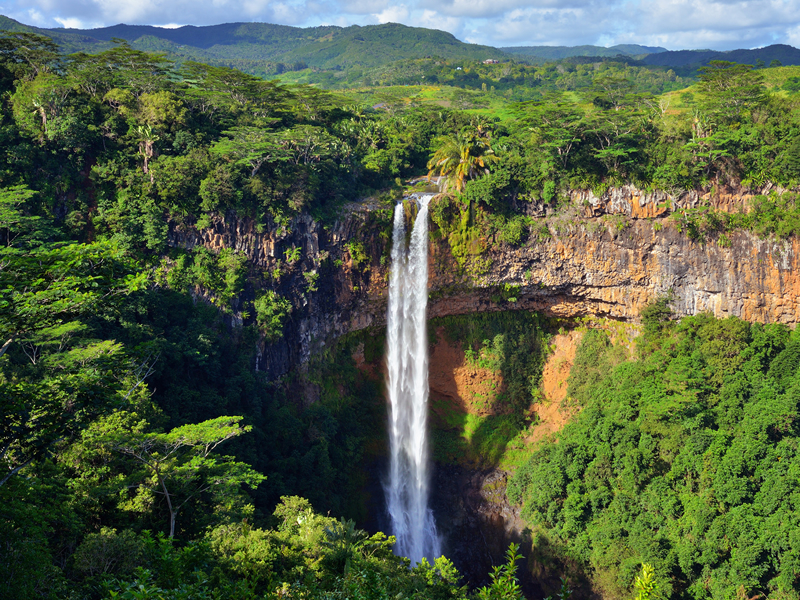 Yemyeşil bir doğada oldukça yüksekten dökülen şelale