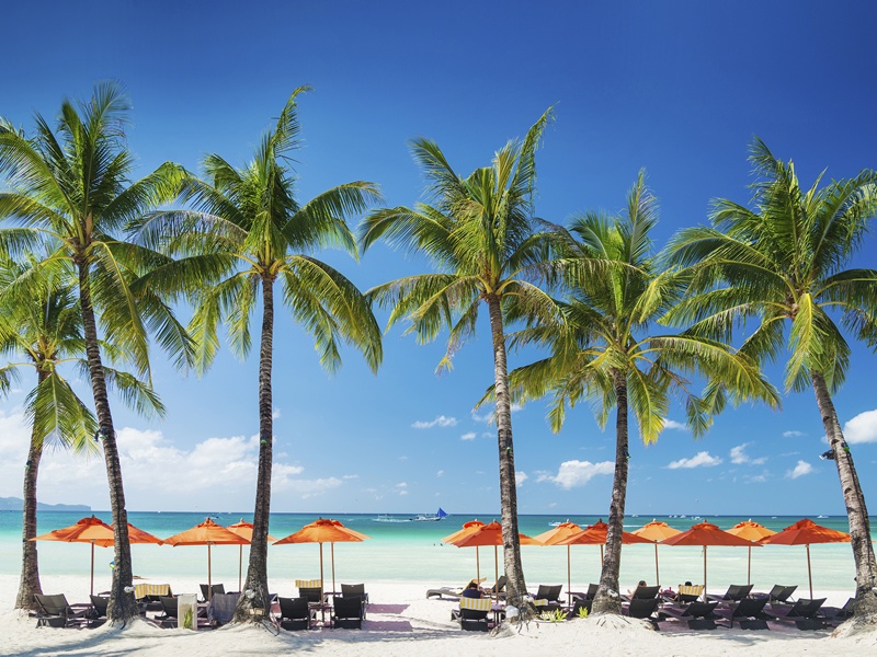 Palmiye ağaçlarının içerisinden Boracay'ın turkuaz denizi ve beyaz kumsalı