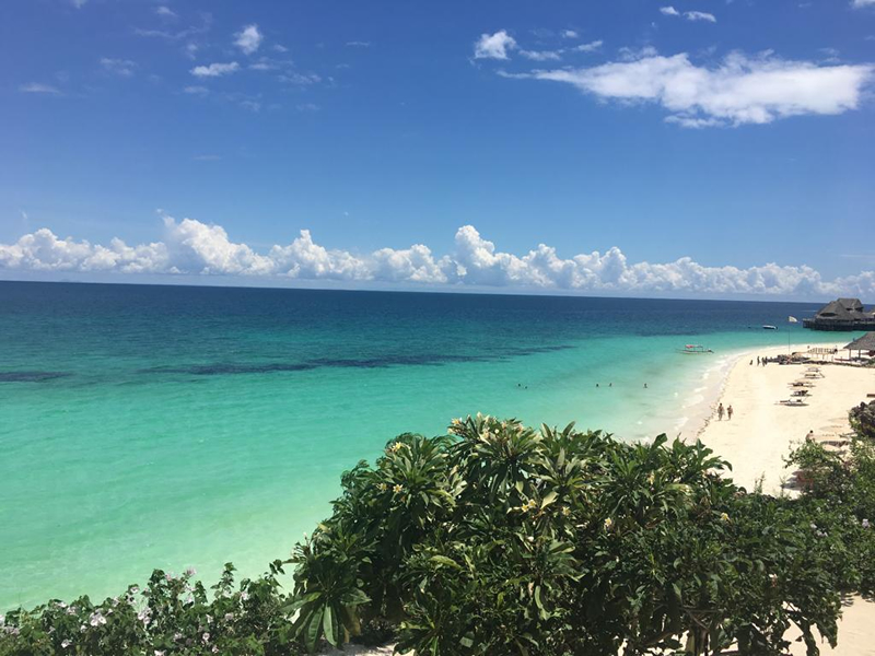 Kuş bakışı turkuaz deniz yeşil bir doğa bembeyaz bir sahil, Nungwi, Zanzibar