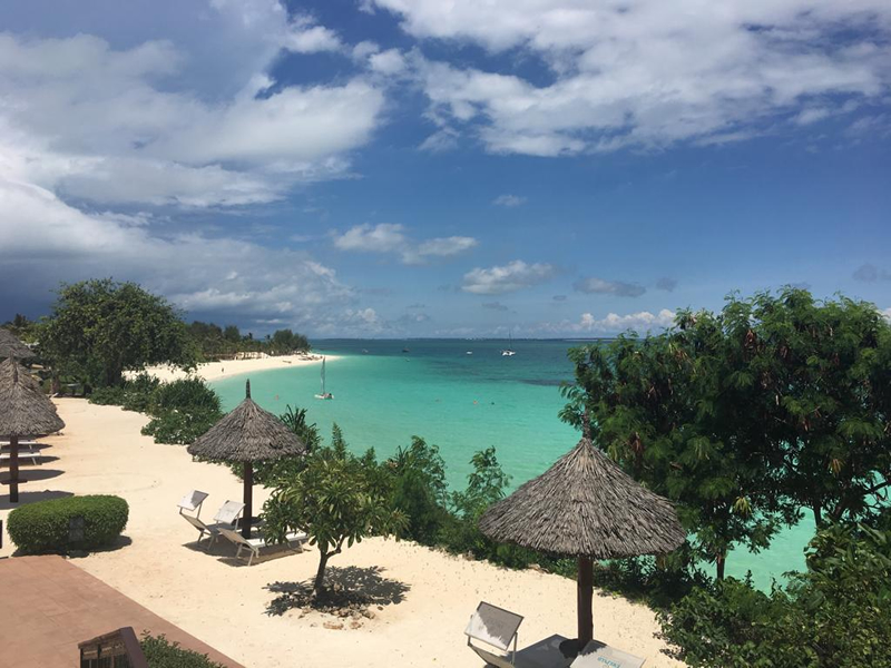 Turkuza bir eniz ve sahilde doğal dal parçalarından yapılmış şemsiyeler