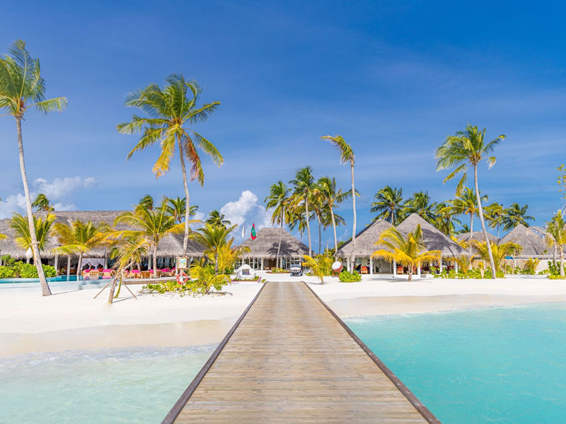 Kumsala doğru uzanan bir iskele ve palmiye ağaçları arasında görünen kumsal bungalowları